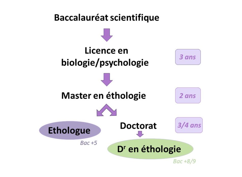 Étude scientifique du comportement animal
